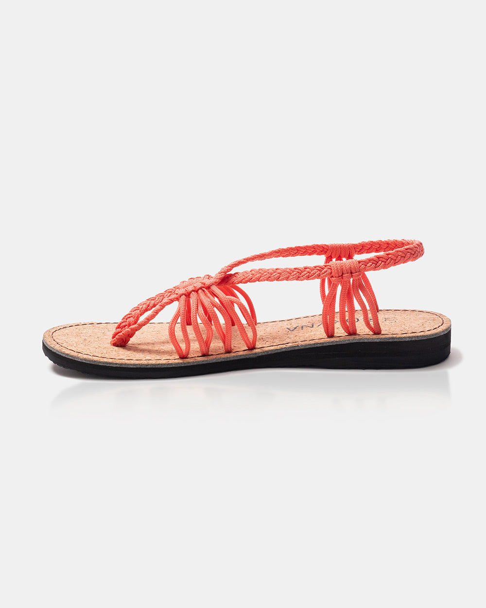 SEASTAR – Saumon