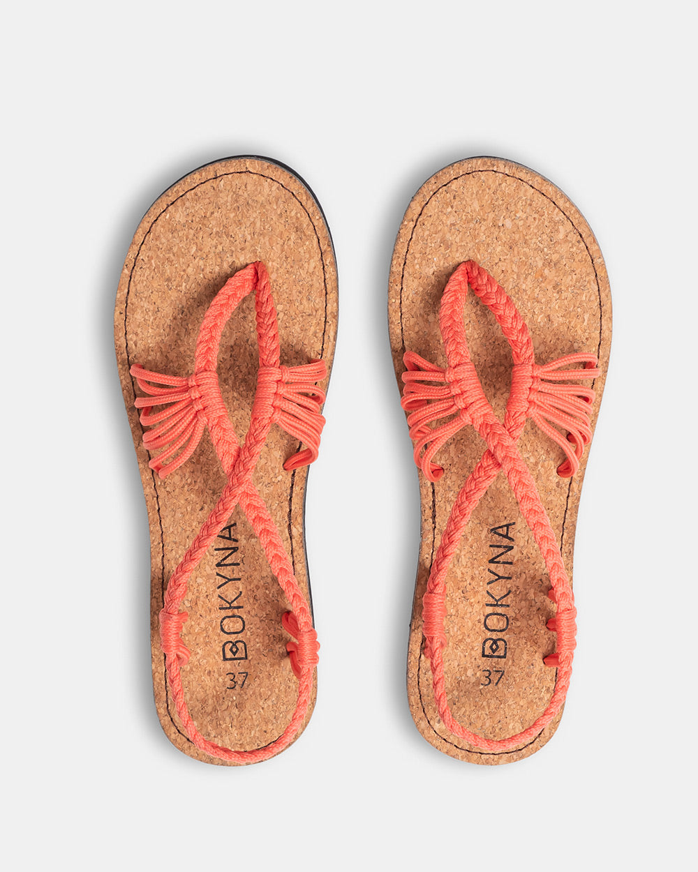 SEASTAR – Saumon