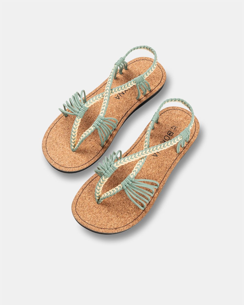 SEASTAR WIDE – Pistache